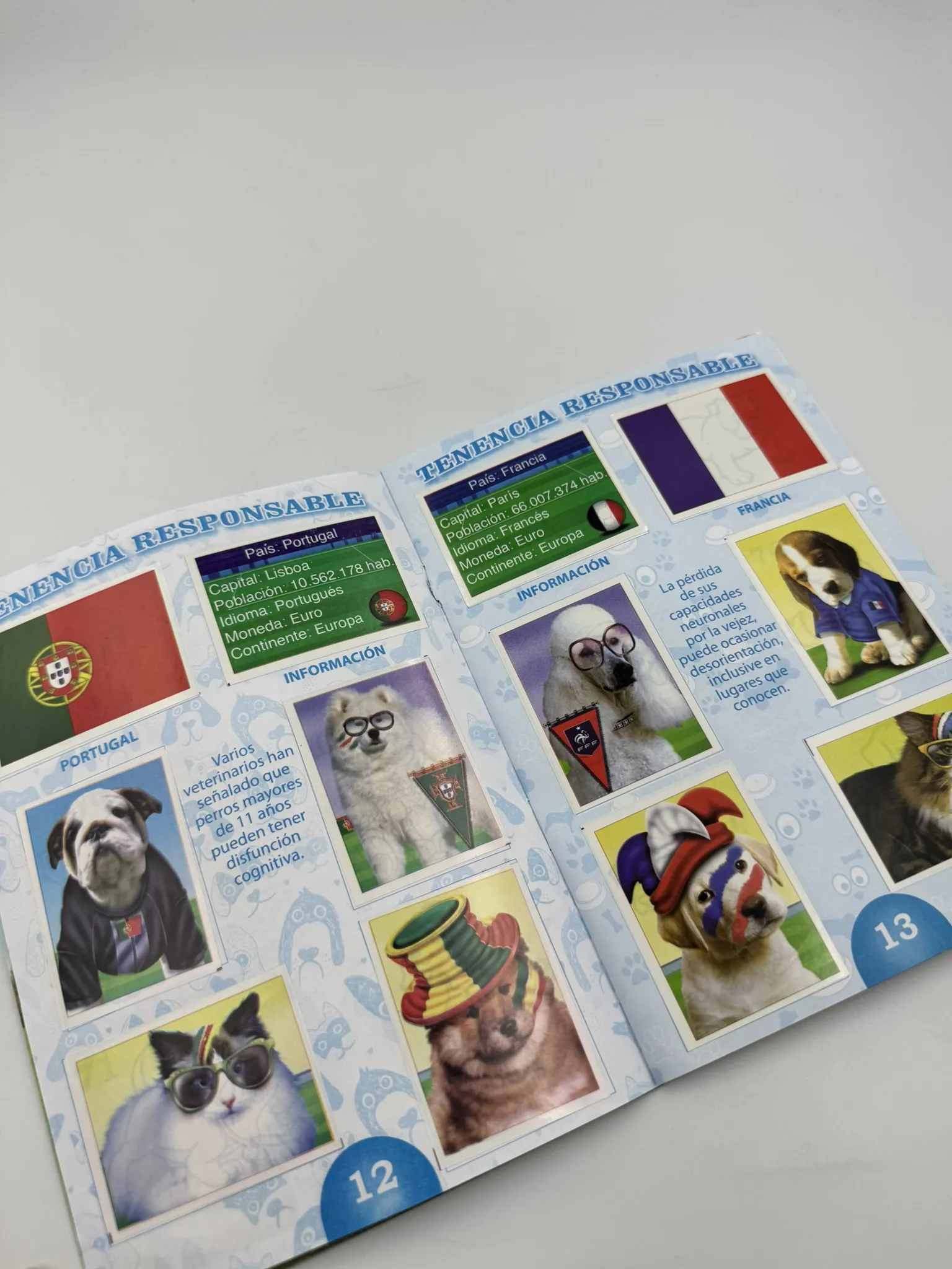 Tenencia Responsable Mascotas Mundialeras