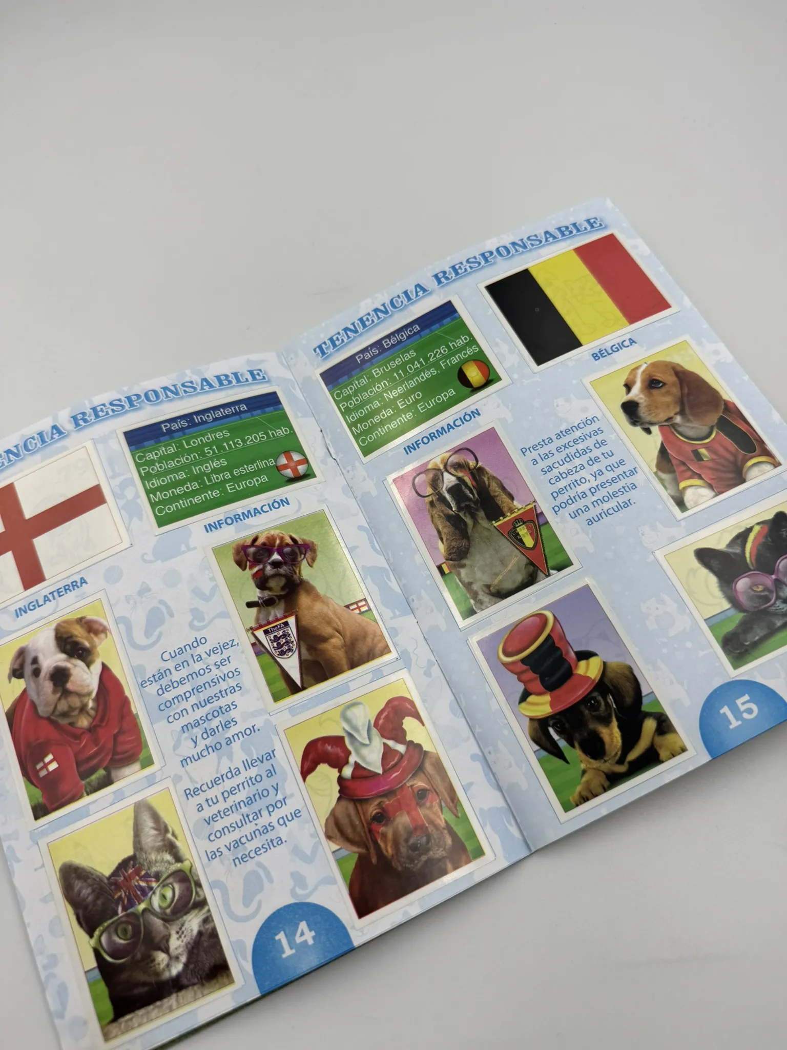 Tenencia Responsable Mascotas Mundialeras