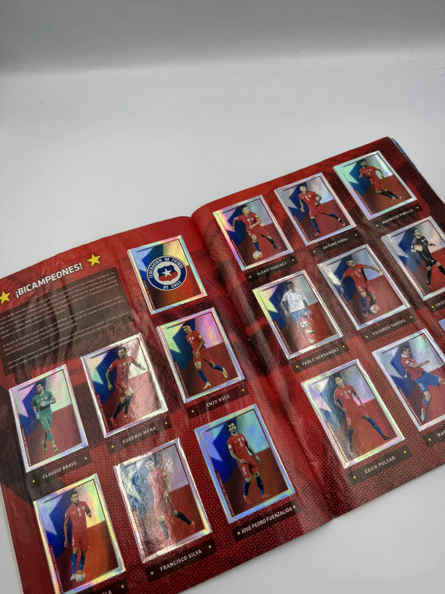 Campeonato Nacional Scotiabank 2016-2017