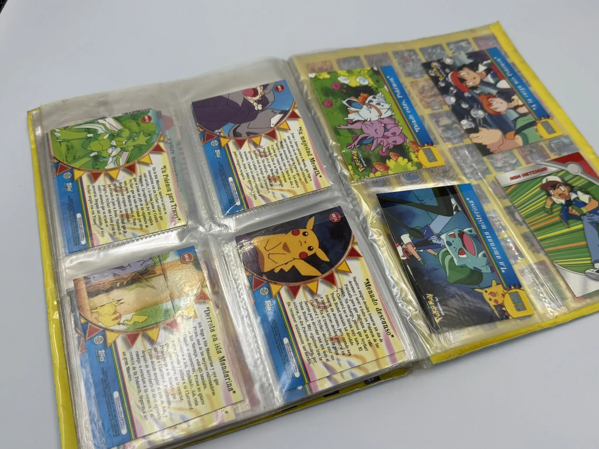 Pokemon Trading Cards Serie 2 (100)