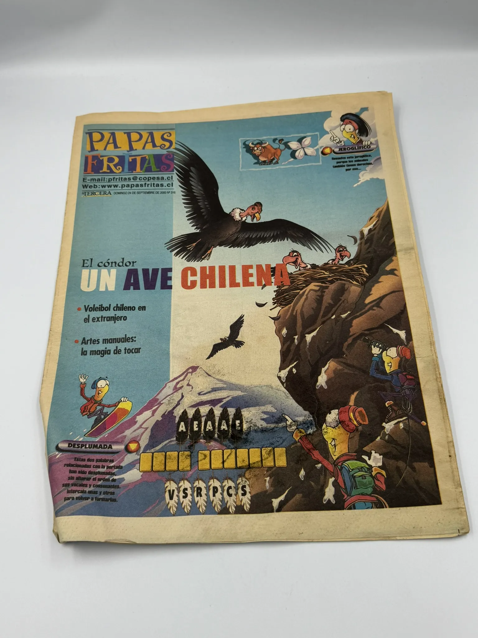 Pack Retro de 16 Suplementos Papas Fritas – La Tercera de los Niños