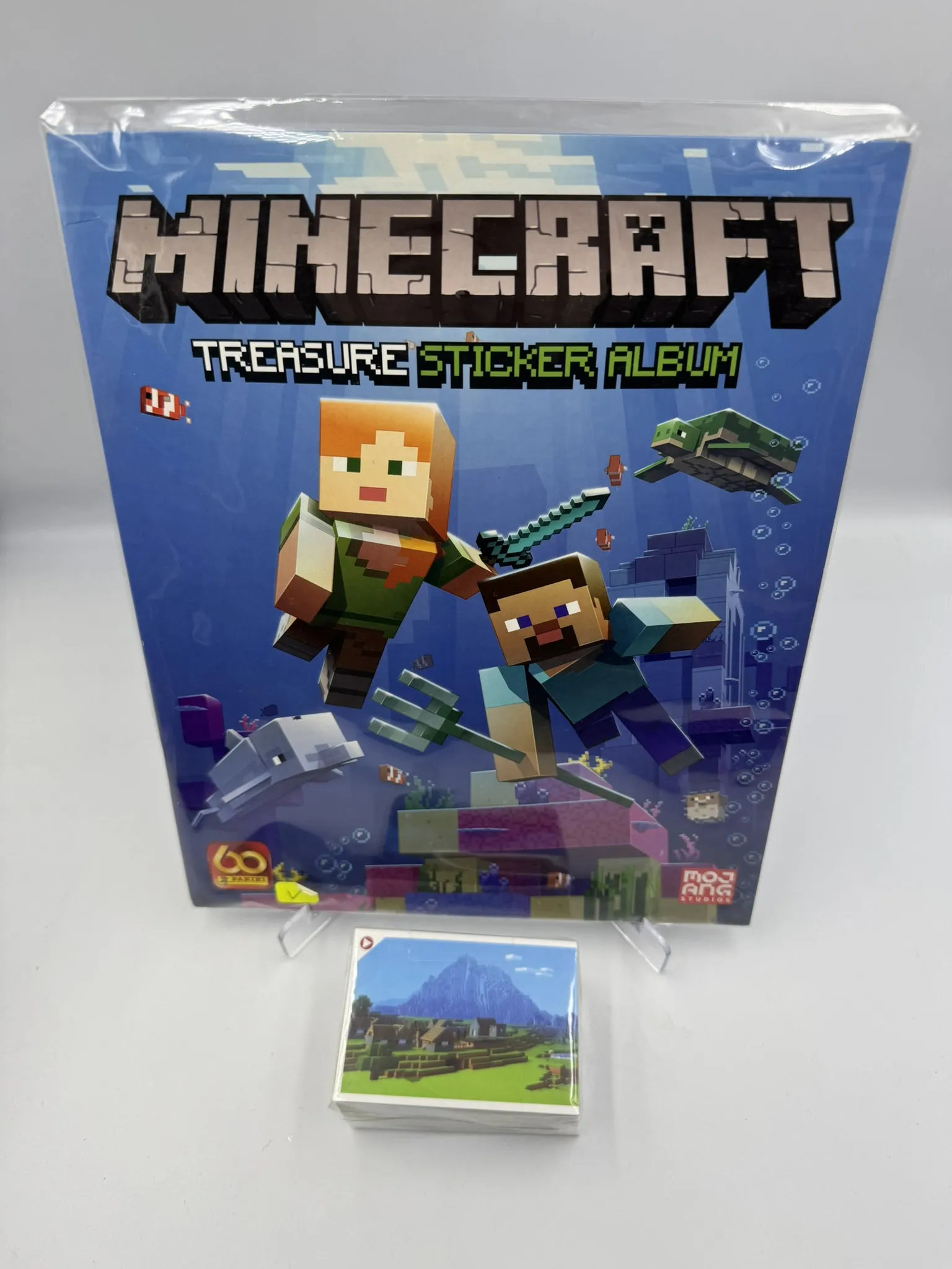 Minecraft Treasure