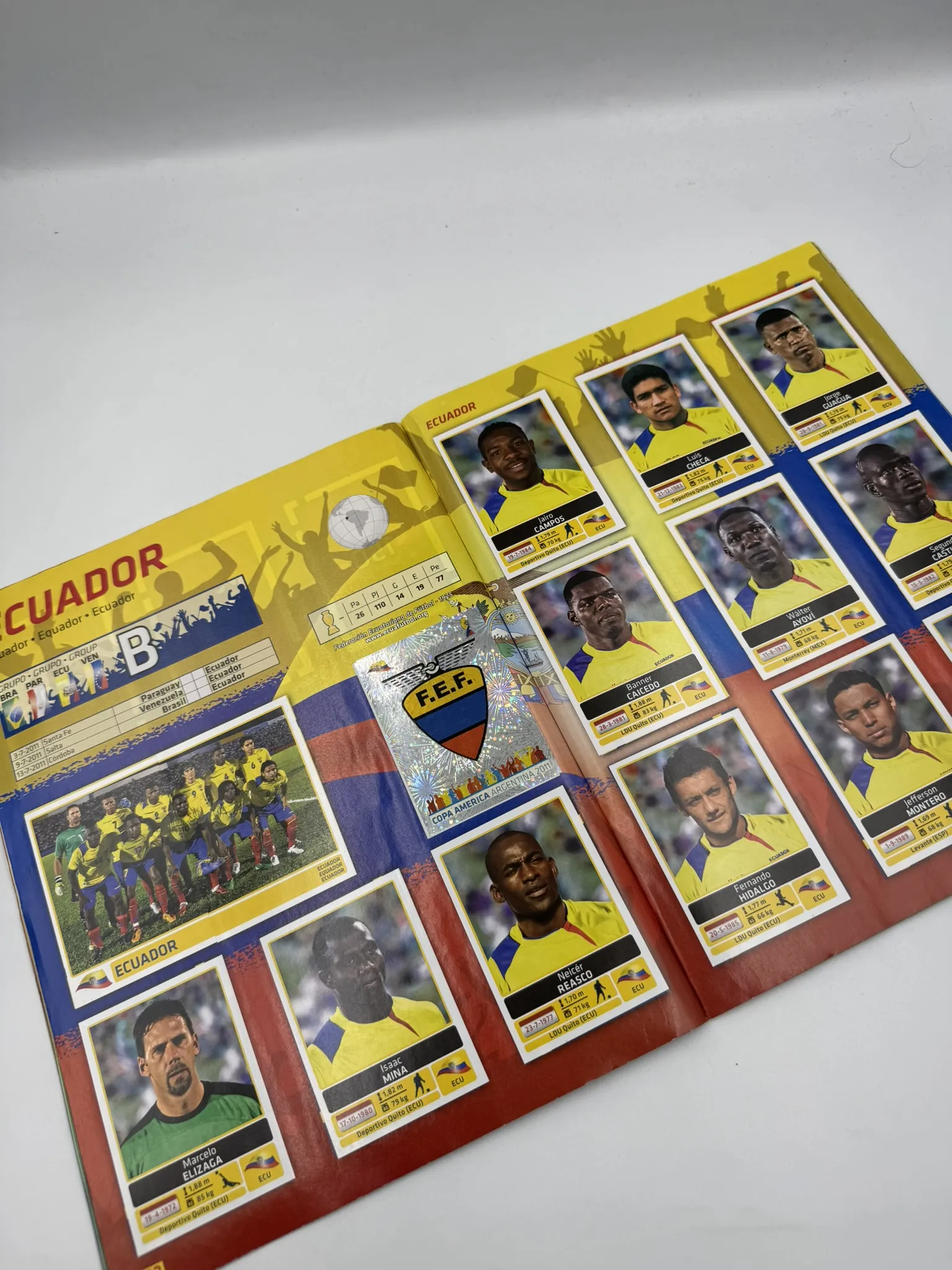 Copa America Argentina 2011