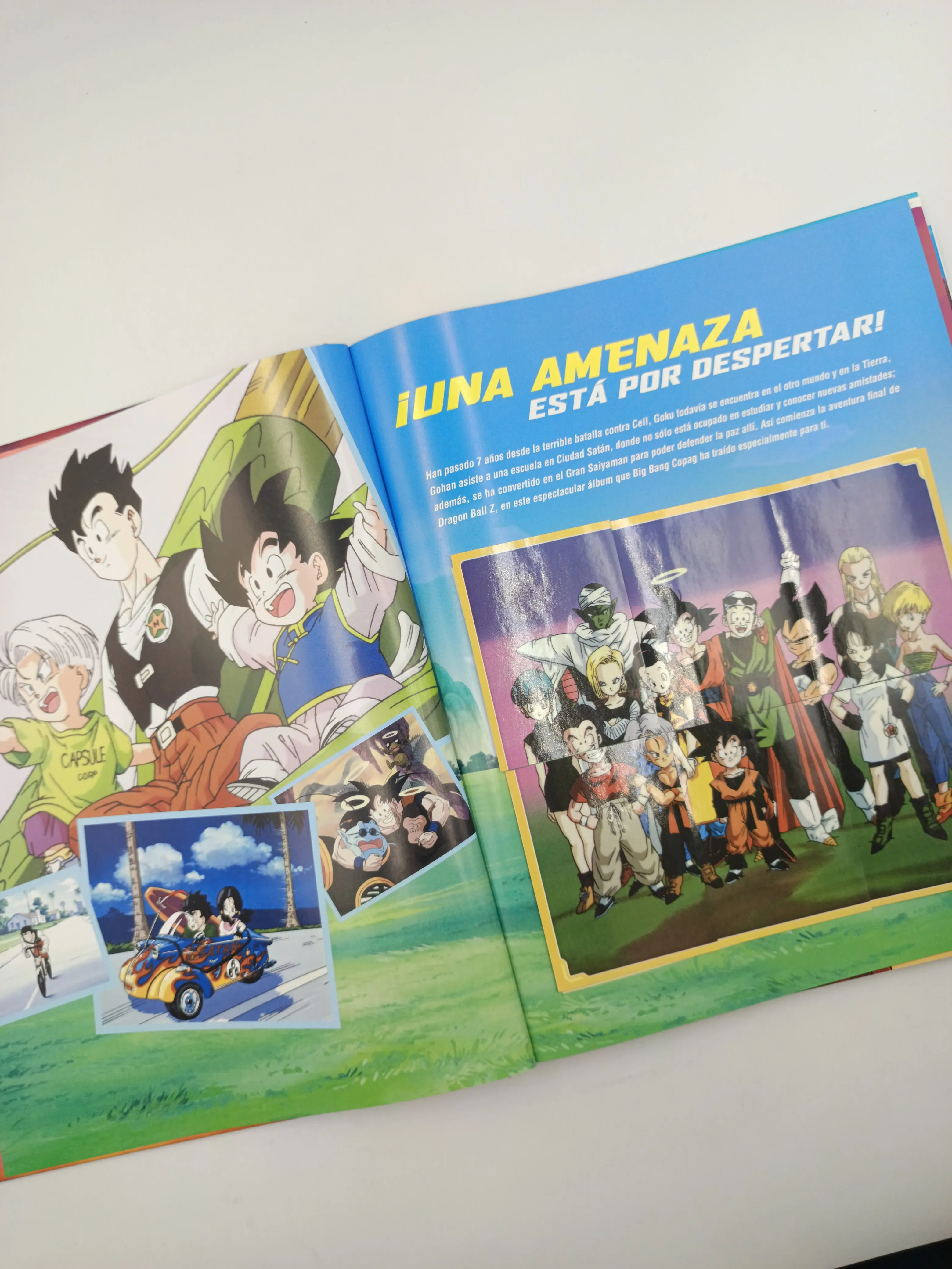 Dragon Ball Z 5- Saga de Buu Parte 1