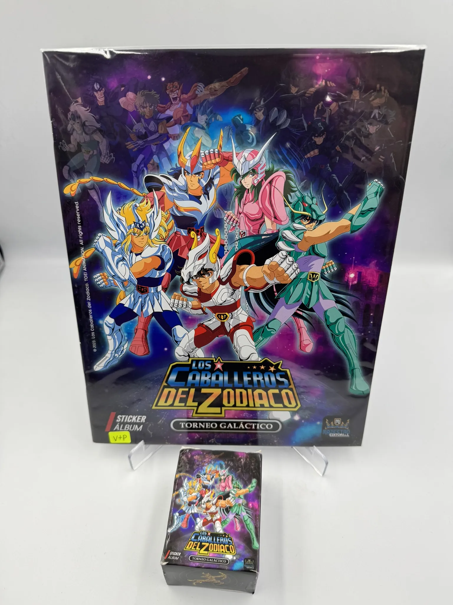 Los Caballeros del Zodiaco - Torneo Galactico