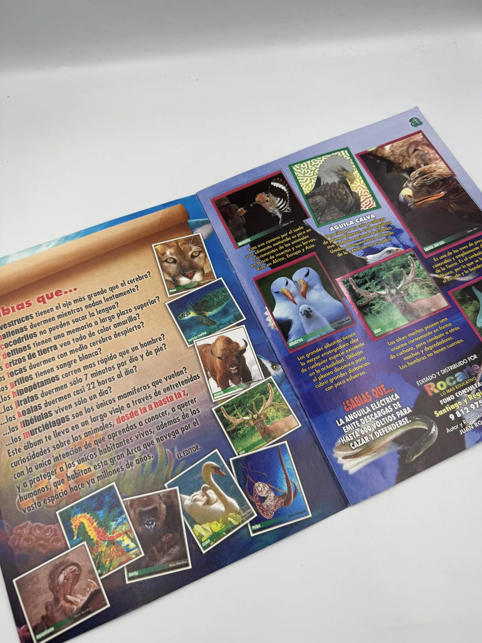 Animal Planet de la A a la Z