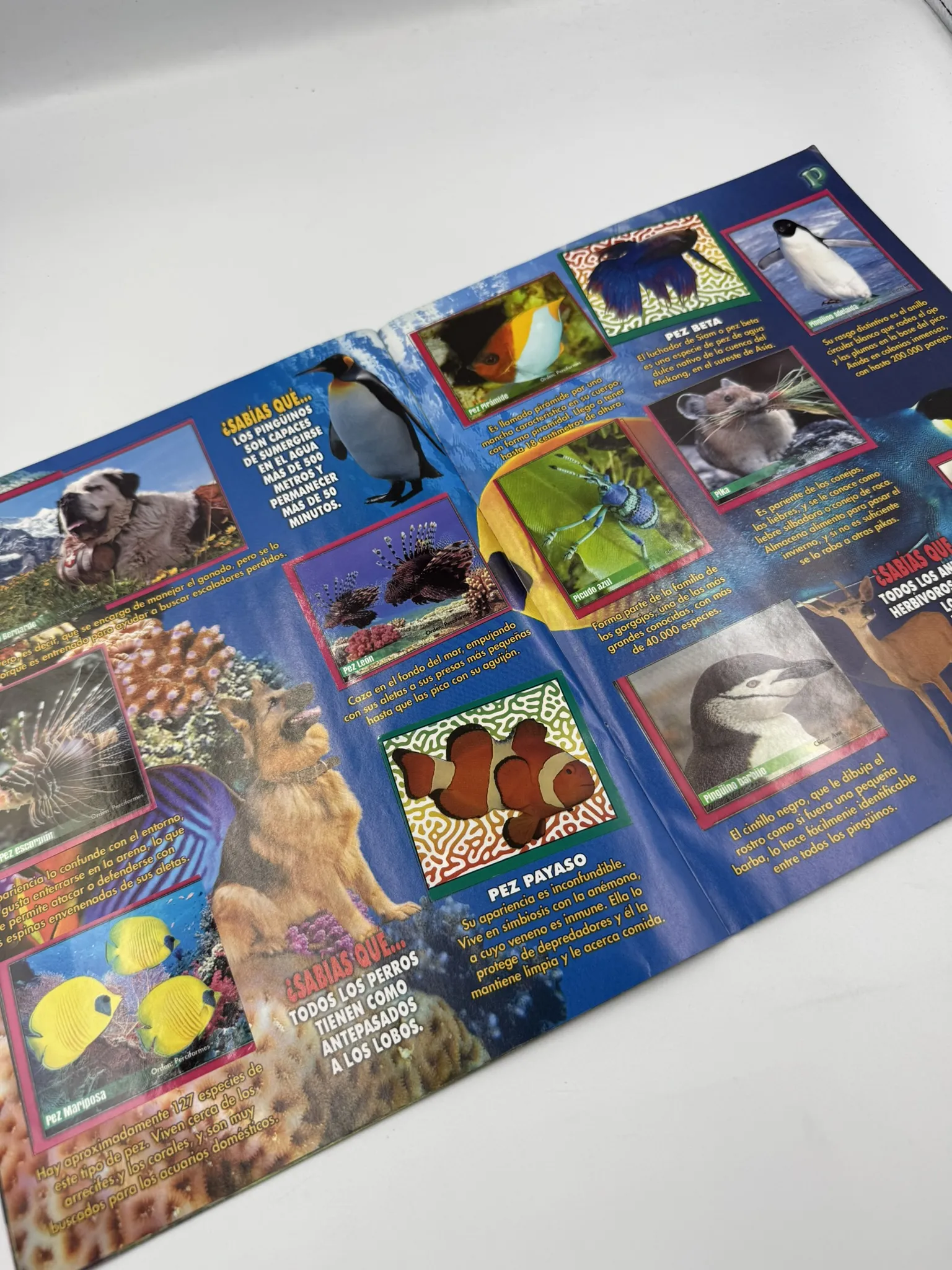 Animal Planet de la A a la Z